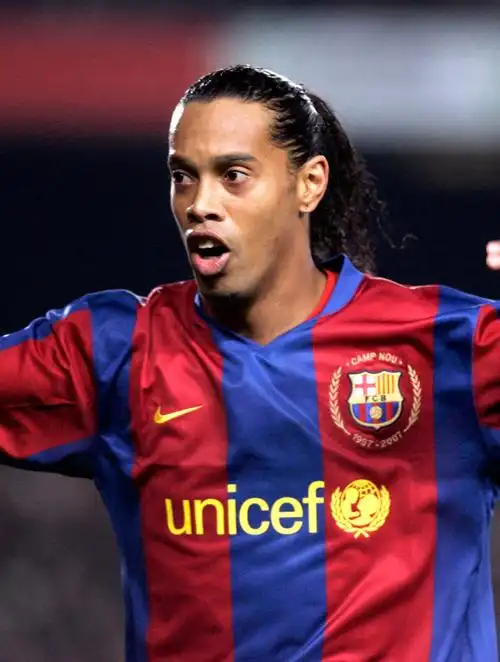 地面上的象 地面上的象